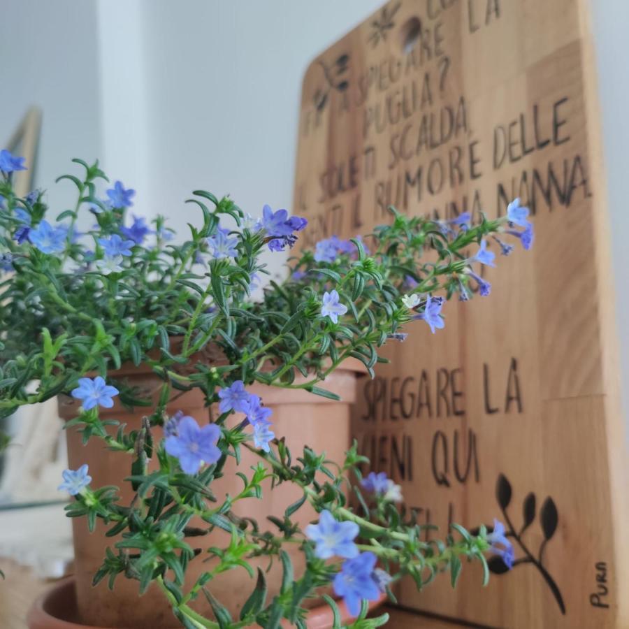 Pura B&B Noicàttaro Eksteriør bilde