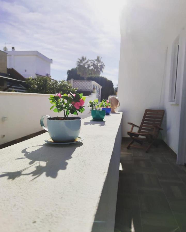 Pura B&B Noicàttaro Eksteriør bilde